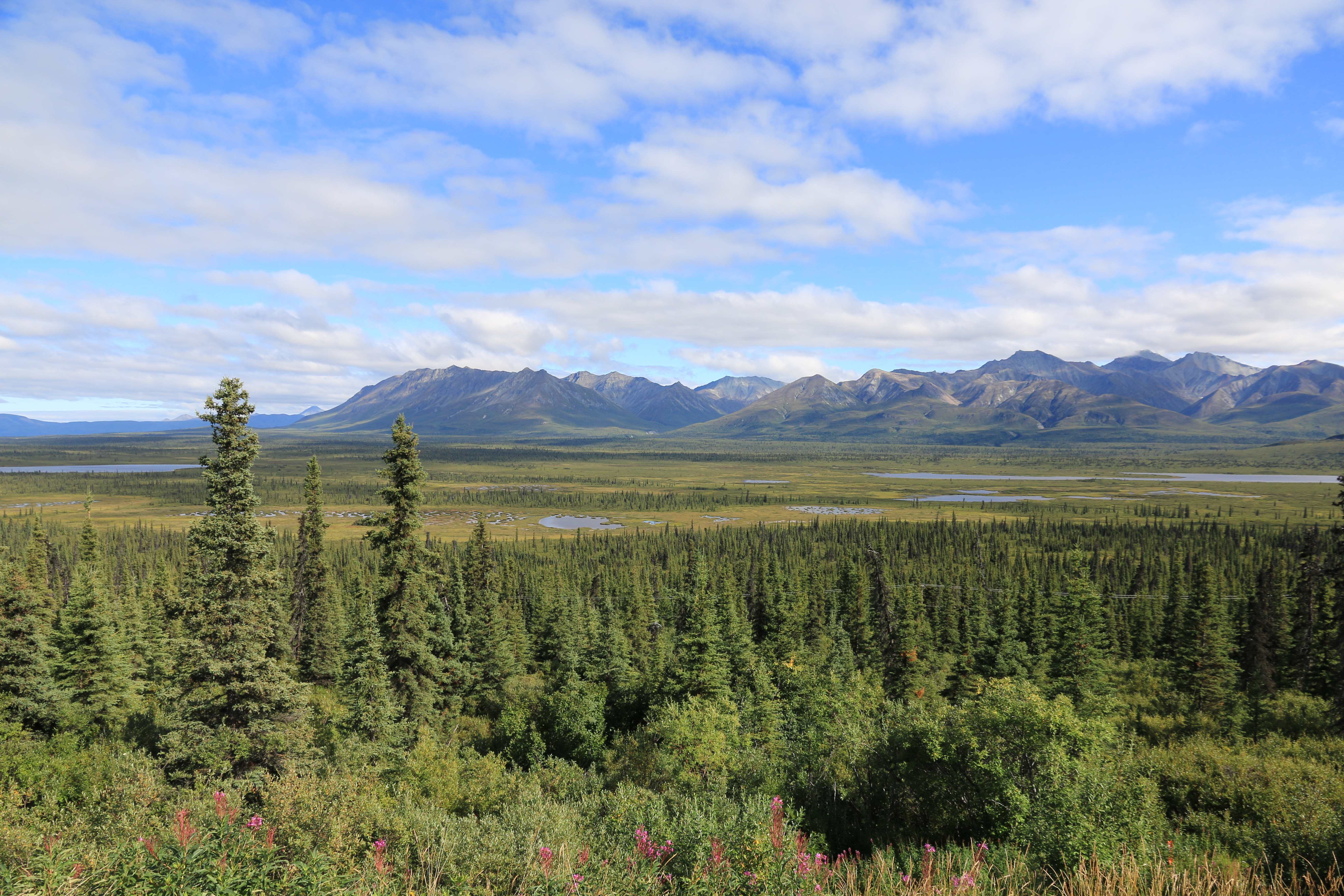 Alaska